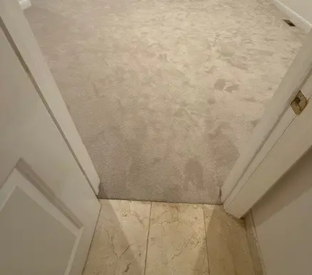 Soft cut-pile carpet with sound reduction padding and marble threshold, Hillsborough, CA bedroom
